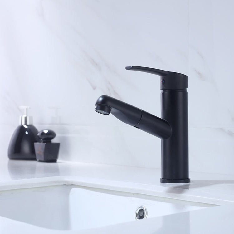 Grifo extraíble para lavabo de baño con un solo orificio y rociador